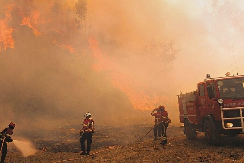 03-12-2015_06_09_26 Imagem alg11a.jpg