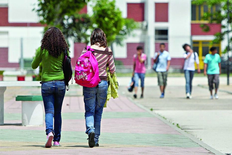 Predador ataca junto a escola 