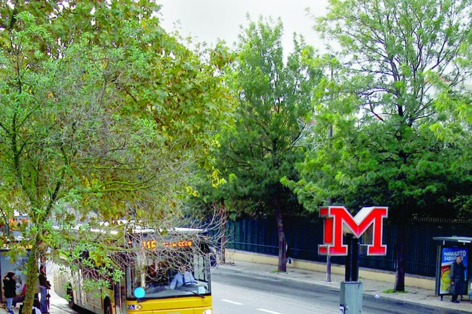 governo, privados,  indemnizações, economia, metro, Carris, stcp