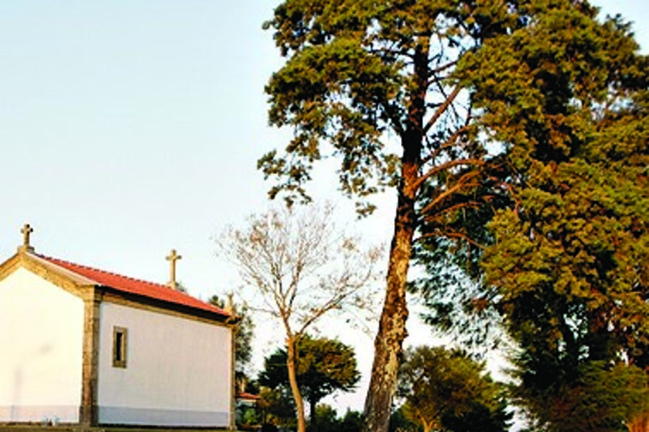 vandalismo, sexo, choque, Santo Tirso, norte