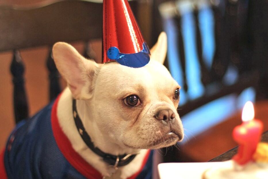 fotos, natal, leitores, correio da manhã, fotografias, cm, espírito natalício, fotogaleria