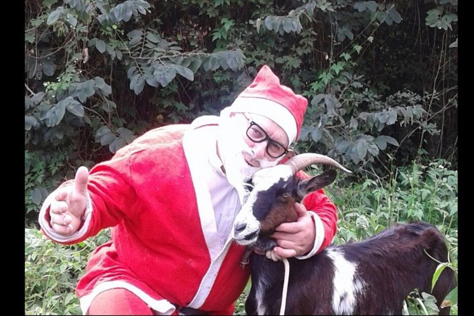 fotos, natal, leitores, correio da manhã, fotografias, cm, espírito natalício, fotogaleria