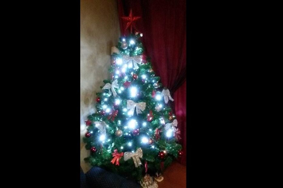 fotos, natal, leitores, correio da manhã, fotografias, cm, espírito natalício, fotogaleria