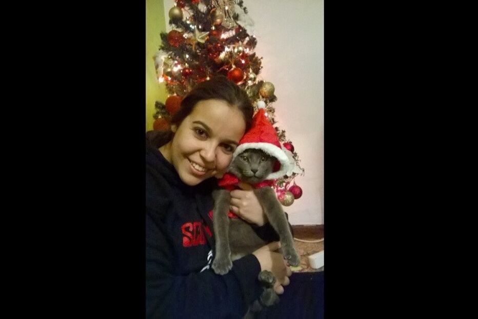 fotos, natal, leitores, correio da manhã, fotografias, cm, espírito natalício, fotogaleria