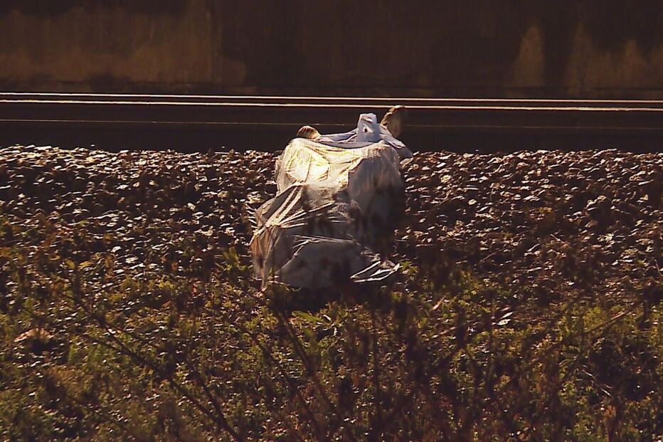 Acidente ferroviário, comboio, Maia