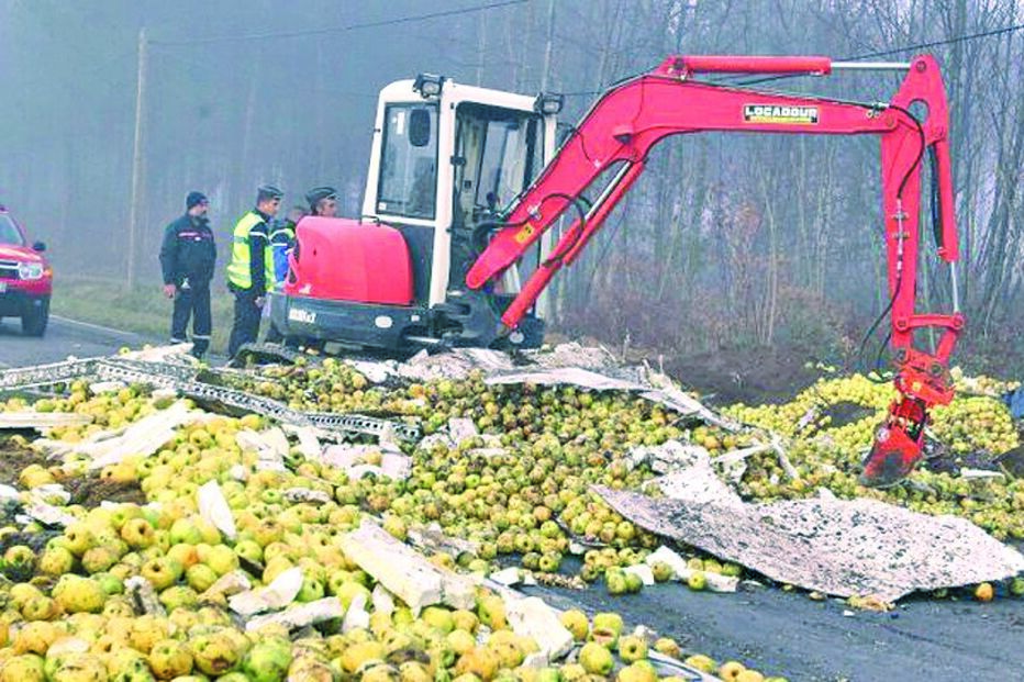 10-12-2015_04_04_20 Imagem 15d.jpg