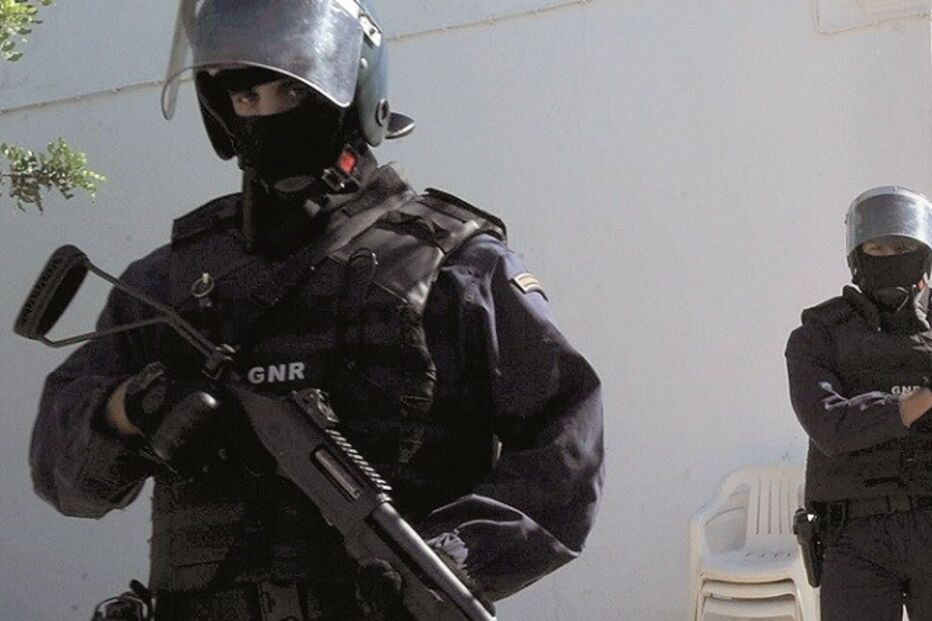 11-12-2015_03_42_37 Imagem alg11a.jpg