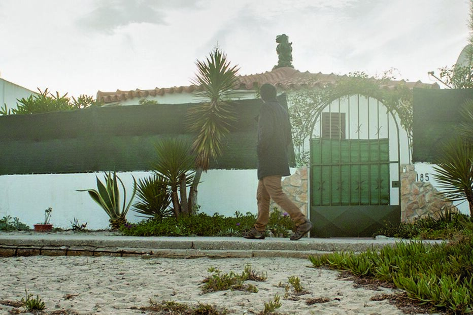 Morre em casa com cão e gato 