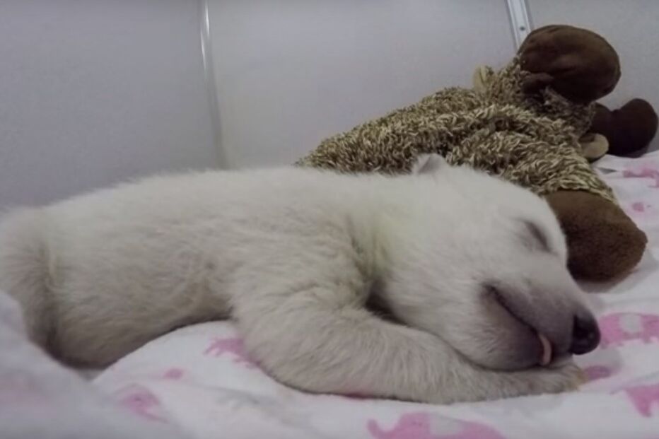 12-12-2015_21_27_01 ml urso.jpg