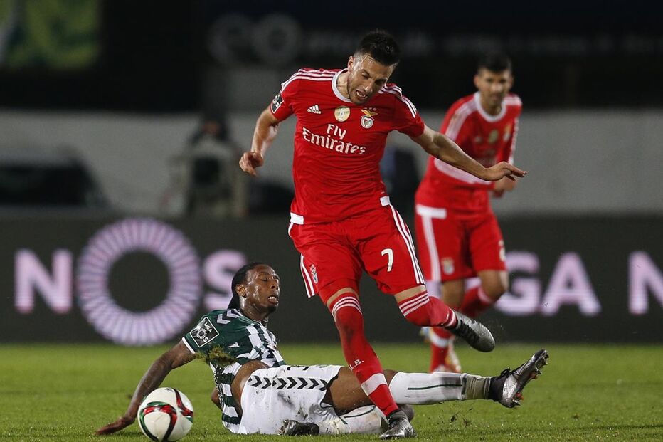 13-12-2015_02_02_08 11137743.JPG