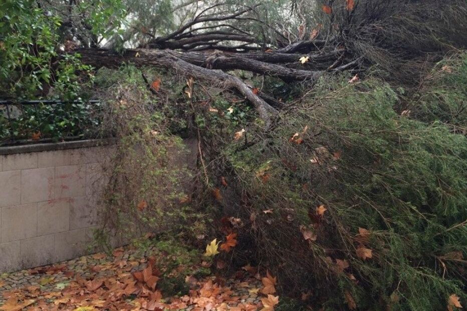 Inundações, Setúbal, chuva, mau tempo, IPMA