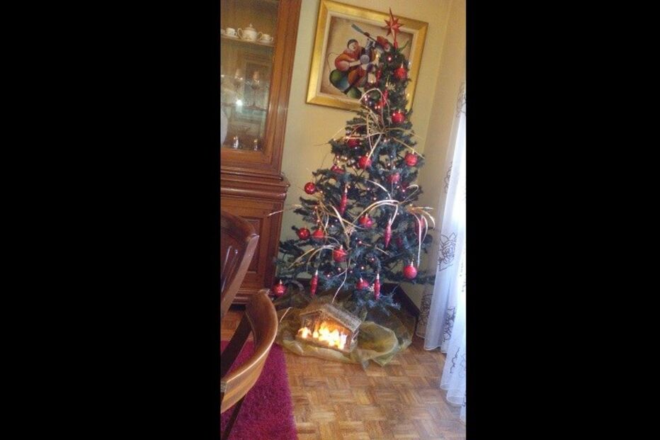 fotos, natal, leitores, correio da manhã, fotografias, cm, espírito natalício, fotogaleria