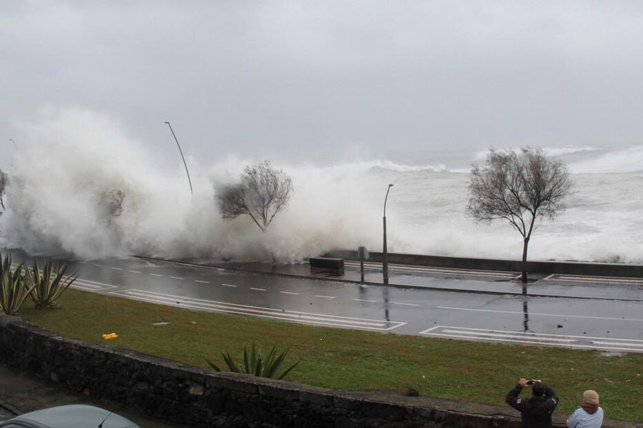 Açores, presidente da Federação das Pescas, pescas