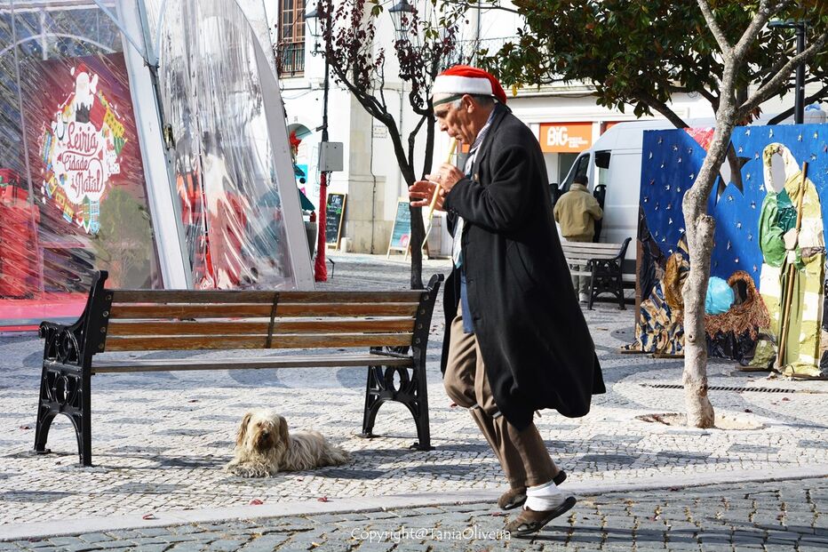 fotos, natal, leitores, correio da manhã, fotografias, cm, espírito natalício, fotogaleria	