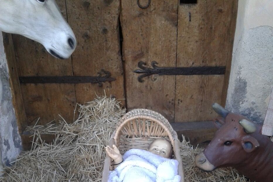fotos, natal, leitores, correio da manhã, fotografias, cm, espírito natalício, fotogaleria