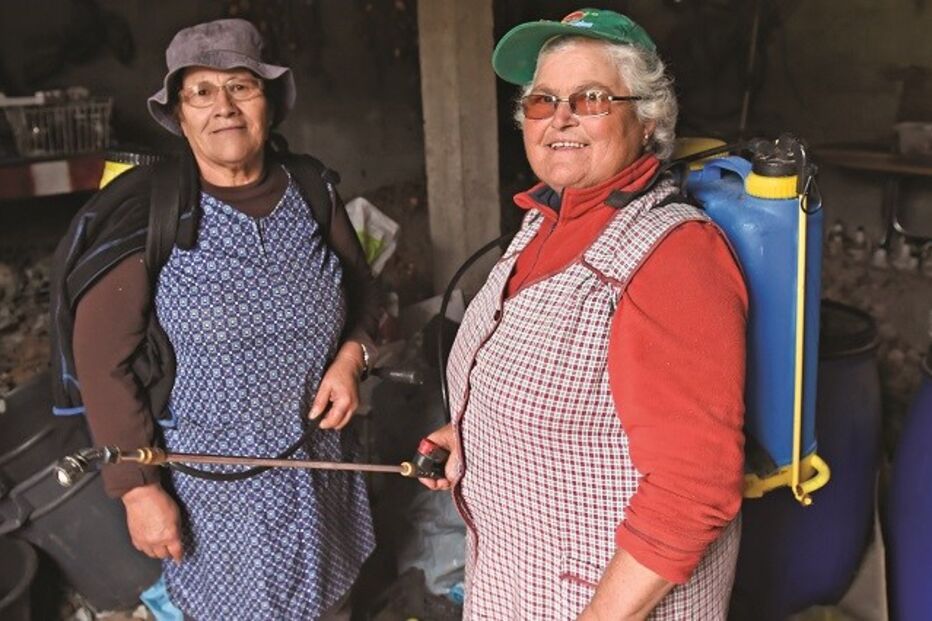 GNR, Maria Salete Dias, Lobagueira, Governo, Maria Licínia, agricultura