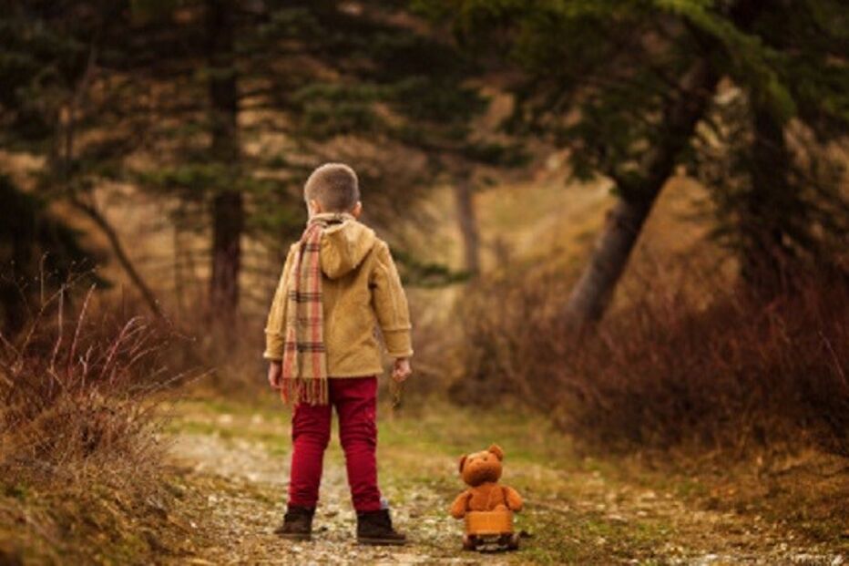 Grande Lisboa, Polícia Judiciária, crime, prisão, pedofilia, predador