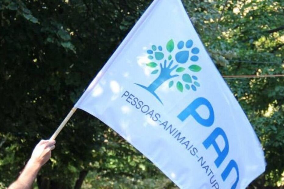 Orçamento Retificativo, Banif, PAN, André Silva, economia, negócios e finanças, política, partidos e movimentos