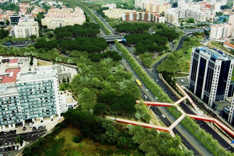 Câmara Municipal de Lisboa, Lisboa, 2.ª Circular, autarquia, velocidade, impacto ambiental