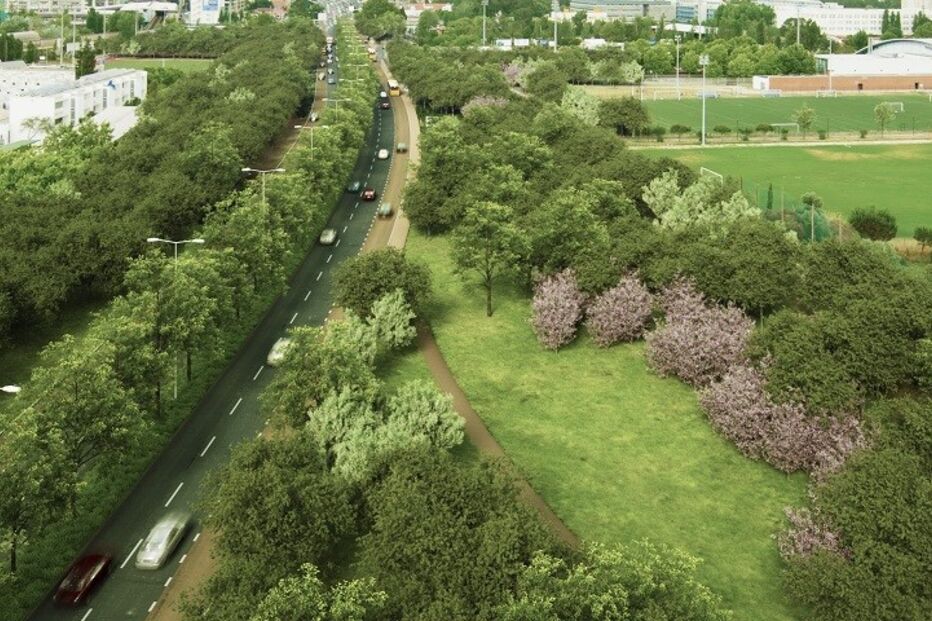 Câmara Municipal de Lisboa, Lisboa, 2.ª Circular, autarquia, velocidade, impacto ambiental