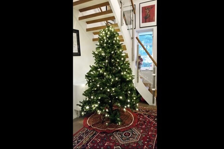 fotos, natal, leitores, correio da manhã, fotografias, cm, espírito natalício, fotogaleria