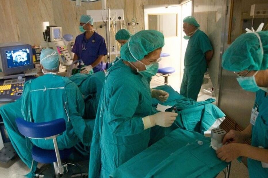 Portugal, Centro Hospitalar e Universitário de Coimbra, CHUC, Centro de Preservação da Fertilidade, Martins Nunes, saúde, investigação