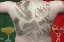 Valend-hair, calendário solidário, Mike Wolfe, pelos das costas