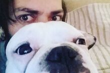 17-01-2016_18_30_24 915674_1691437977766777_109488282_n.jpg