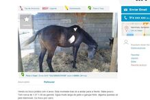 20-01-2016_15_09_07 carro 2.jpg