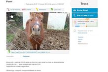 20-01-2016_15_09_12 ponei ferramentas.jpg