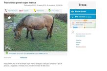 20-01-2016_15_09_13 ponem.jpg