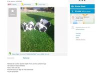 20-01-2016_15_09_15 troca.jpg