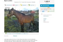 20-01-2016_15_09_16 troco por.jpg