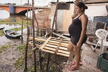 Fotorreportagem, mosquito, América, Canadá, Chile, Zika, vírus Zika, Brasil, bebés, microcefalia