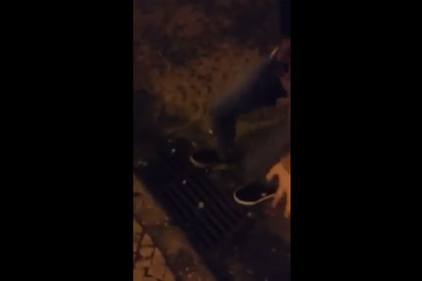 Jovem esmaga pombo e publica vídeo