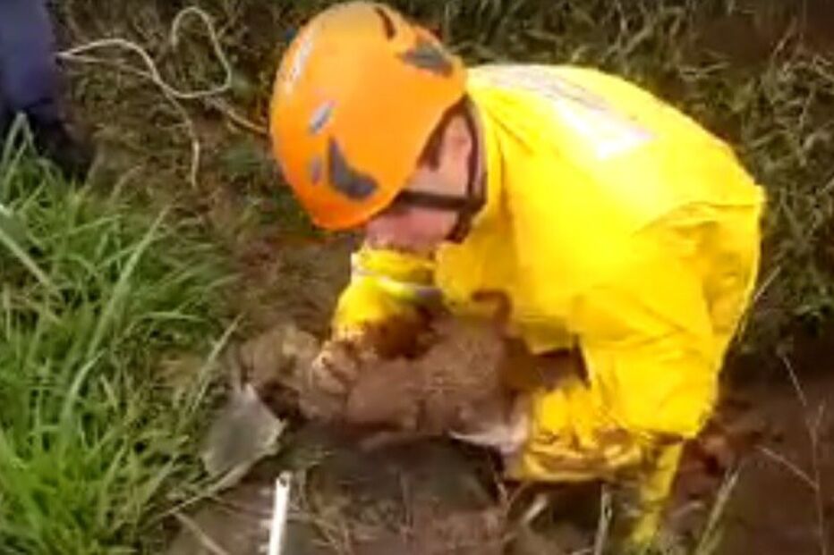 01-01-2016_18_33_18 fb.jpg