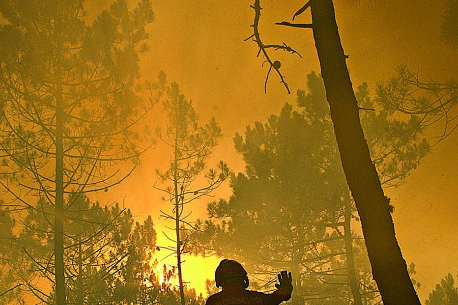 julgado, incêncidos, fogo, tribunal, vingança, Vieira do Minho