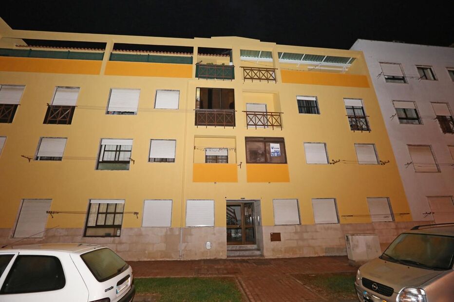 Cão, animais, Quinta do Conde, Salgueiro Maia, Sesimbra