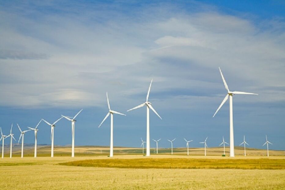 REN, Redes Energéticas Nacionais, ambiente