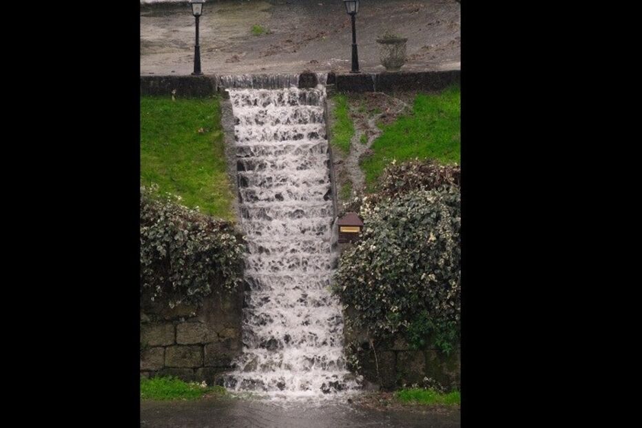 05-01-2016_16_47_19 jorge ramalho1.JPG