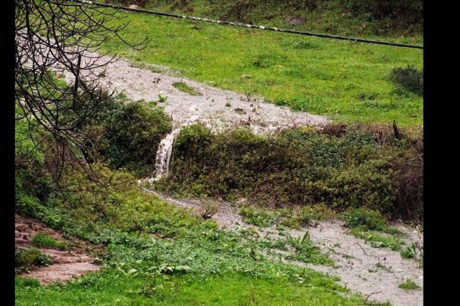 05-01-2016_16_47_20 jorge ramalho2.JPG