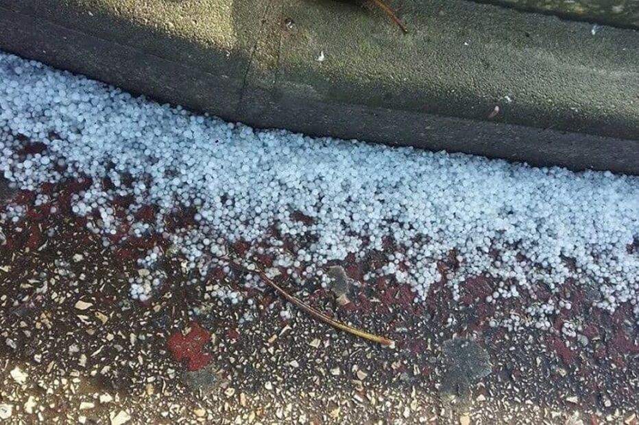 05-01-2016_16_48_18 danielas1.jpg