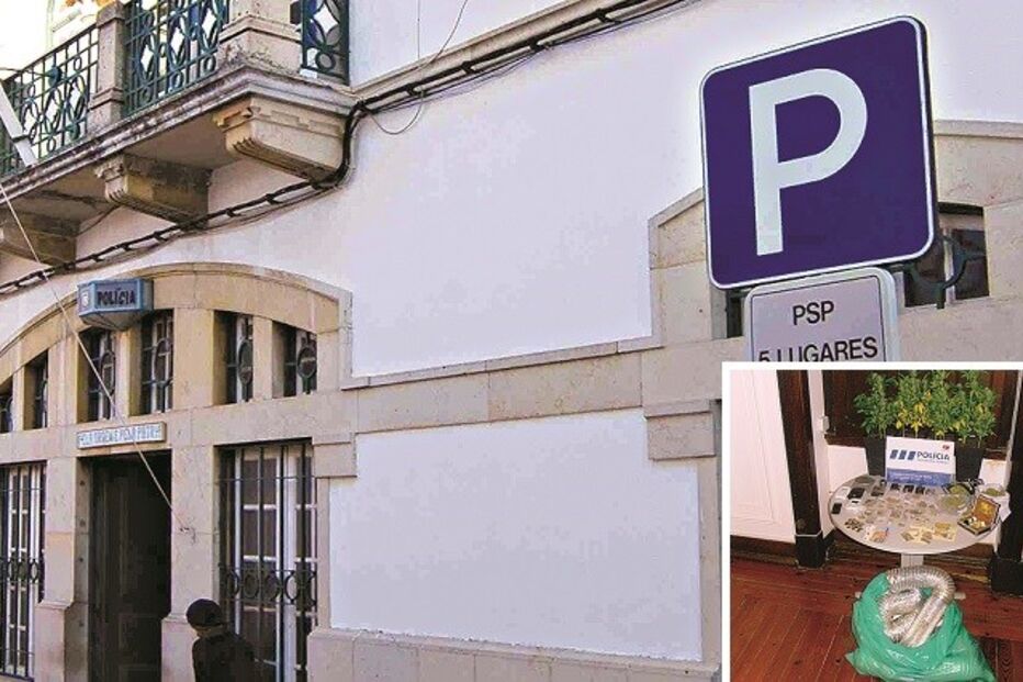 06-01-2016_02_01_12 Imagem alg12a.jpg