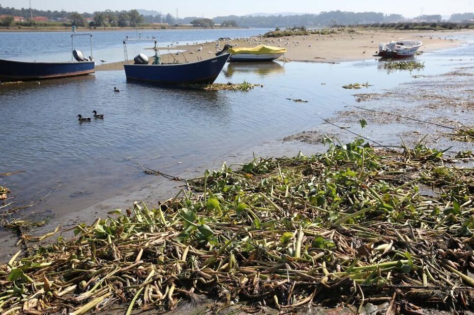 pescador, pedófilo, namorada, violação, abusos, Esposende, Braga, Apúlia