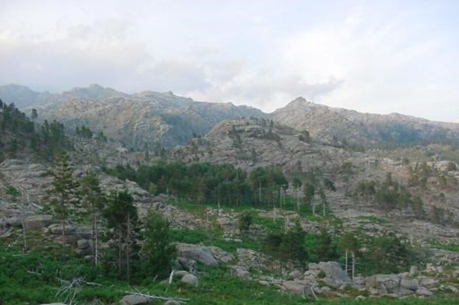 Parque da Peneda-Gerês, INEM, questões sociais