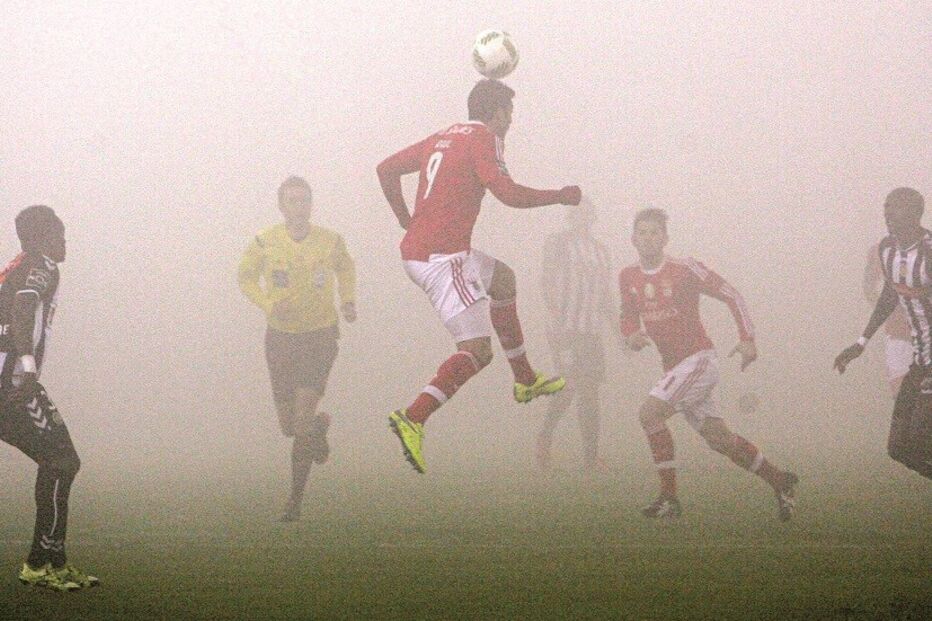 11-01-2016_01_35_22 benfas.jpg