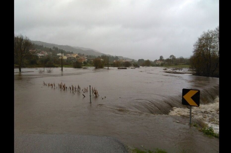 11-01-2016_03_39_21 algodres1.jpg