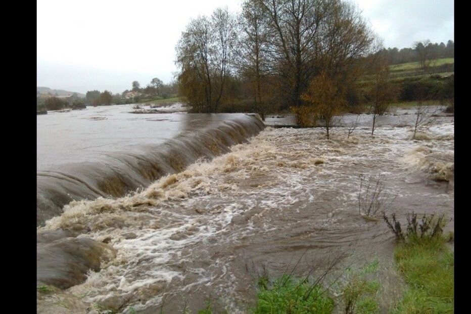 11-01-2016_03_47_18 algodres2.jpg