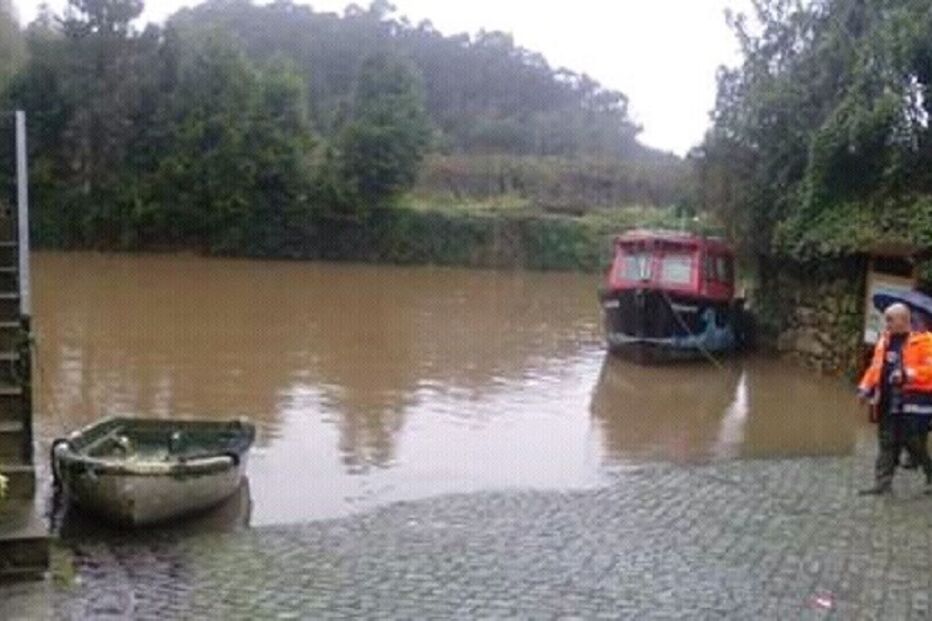 11-01-2016_03_50_40 avintes.jpg