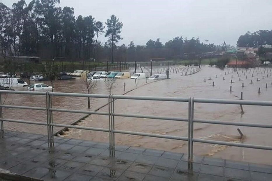 11-01-2016_03_54_03 jorge neto.jpg